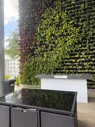 Neu At Novena (D11), Apartment #447343461
